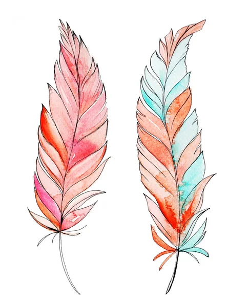 Pink Blue Watercolor Hand Drawn Feathers Isolated White Background — 스톡 사진