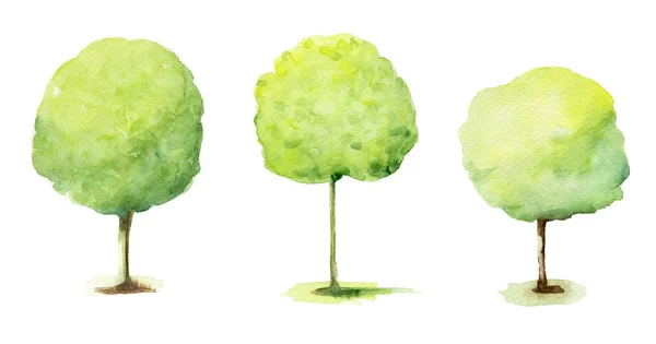 Illustration Set Green Hand Drawn Watercolor Trees Isolated White — 스톡 사진