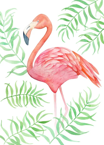 Aquarell Illustration Rosa Flamingo Mit Tropischen Grünen Blättern Isoliert Auf — Stockfoto
