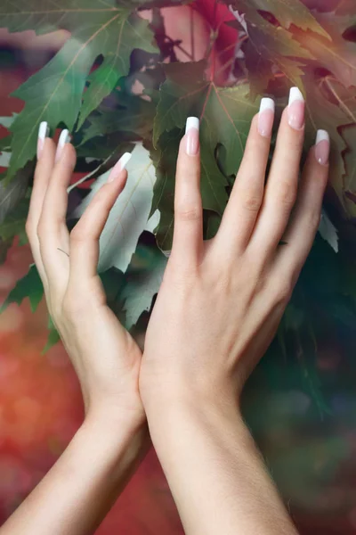 Frauenhände mit schöner französischer Maniküre — Stockfoto