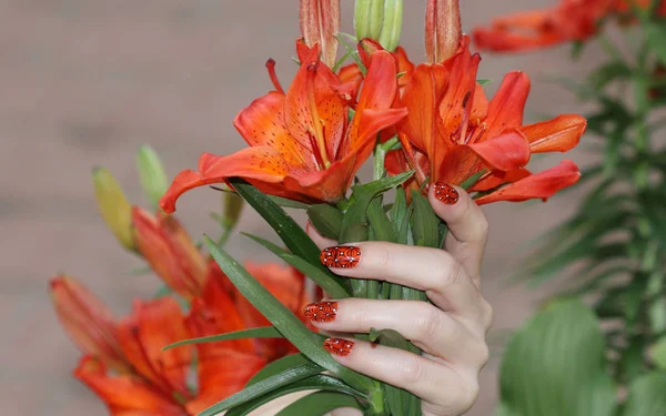 Uñas naturales. Hermoso arte de uñas para usted . Fotos de stock libres de derechos