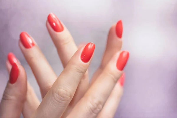 Close-up em belas mãos femininas com manicure vermelho . — Fotografia de Stock