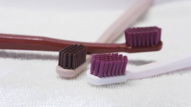 Beyaz arka plan üzerinde izole renkli diş fırçaları.