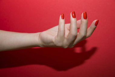 Güzel eller kırmızı manikür ve izole çivi