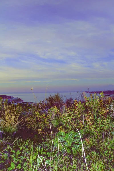 Geweldige groene weide natuur in de nacht in de buurt van zee. — Stockfoto