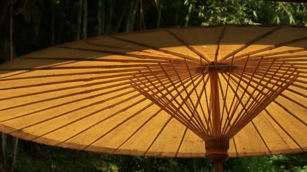 Panning Paper Bamboo Umbrella Decoration Park Thailand — Stock Video
