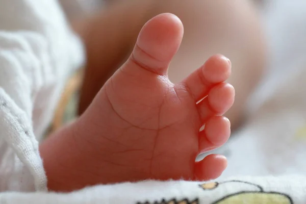 Close up barefoot of Asian baby newborn.