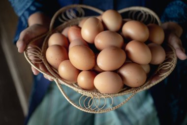 Çiftlikten taze yumurtalarla dolu sepeti tutan kadın çiftçi..