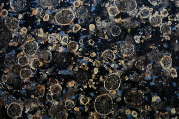Stein Textur. schwarzer polierter Stein mit fleckigem Muster — Stockfoto