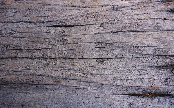 Surface en bois. fragment de bois flotté lavé à terre — Photo