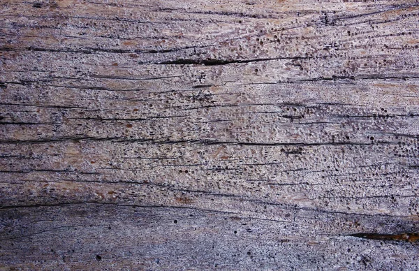 Drewniana powierzchnia. fragment drewna dryfującego wyrzucony na brzeg — Zdjęcie stockowe