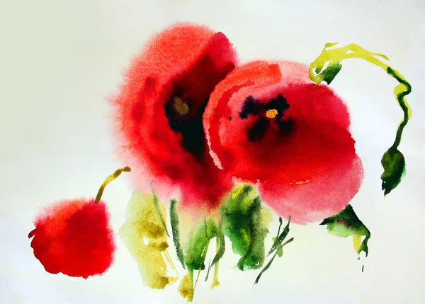 Poppies orijinal suluboya çizimi — Stok fotoğraf