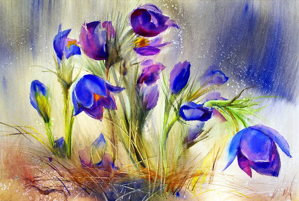 Watercolor painting of the beautiful spring flowers.