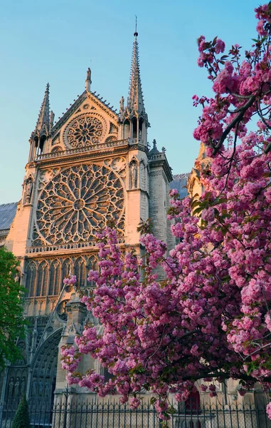 De kathedraal Notre - Dame de Paris — Stockfoto