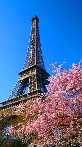 Torre Eiffel na primavera, Paris, França — Fotografia de Stock