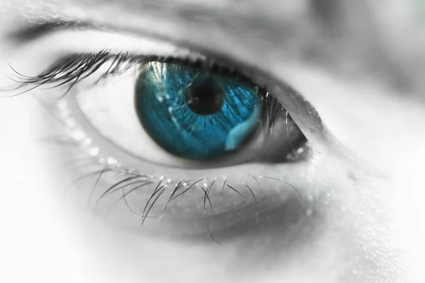 Blue macro eye — Stock Photo, Image