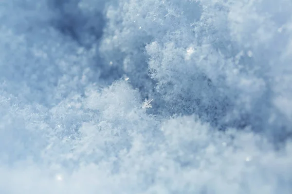 新鲜的雪, 宏观射击 — 图库照片