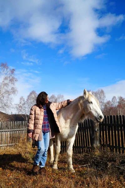 Beautiful Young Woman Horse Country — Stock Photo, Image