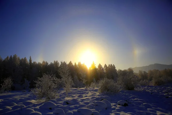 Cristaux Gel Dans Air Par Temps Froid Forme Jour Hiver — Photo