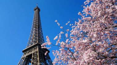 Eyfel Kulesi bahar zamanı, paris, Fransa