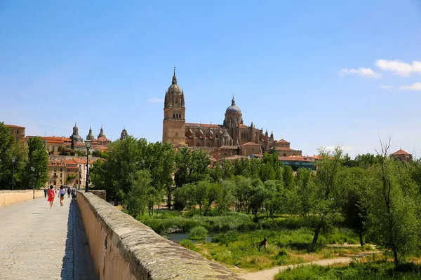 Vista Catedral Vieja Salamanca España —  Fotos de Stock