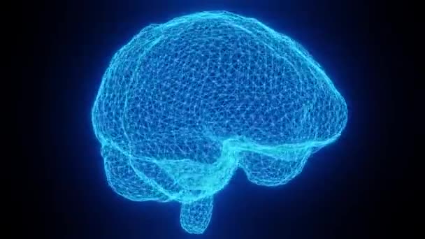 Яскрава Анімація Мозку — стокове відео