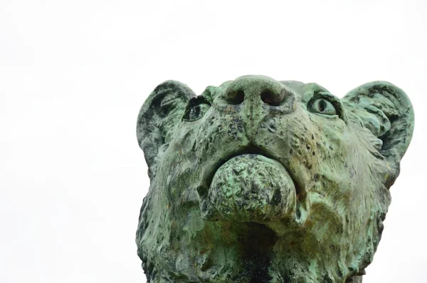 Statue en pierre de la tête de lionne — Photo