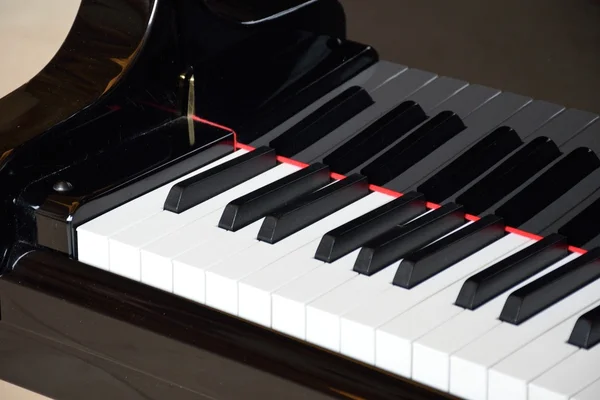 Primo piano dei tasti del pianoforte a coda — Foto Stock