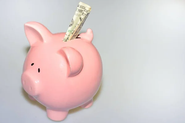 Pink Piggy Bank with Dollars in slot — Stock Photo, Image