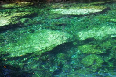 Temiz su havuzu taşlarla