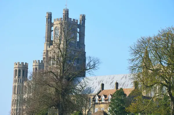 Ely Cathedral from distance — Stock Photo, Image