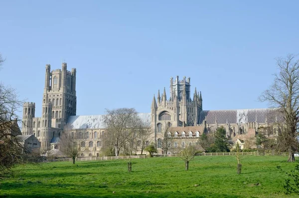 De kathedraal van Ely met velden in de voorgrond — Stockfoto