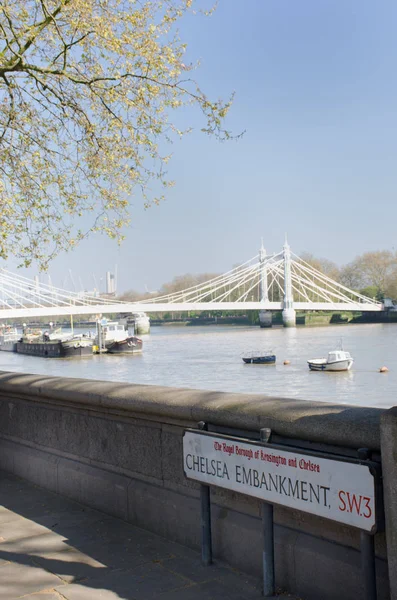 Rivier Thames Londen van Chelsea Embankment met Albert Bridge in de achtergrond — Stockfoto