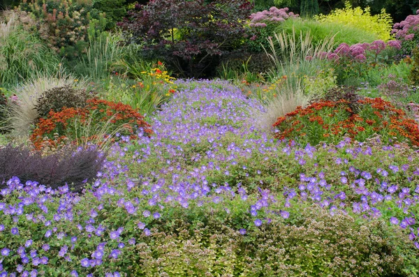 边界上有多年生植物的传统英国花园 — 图库照片
