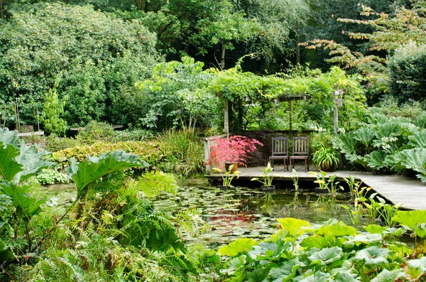 Jardim de água verde com acer vermelho — Fotografia de Stock