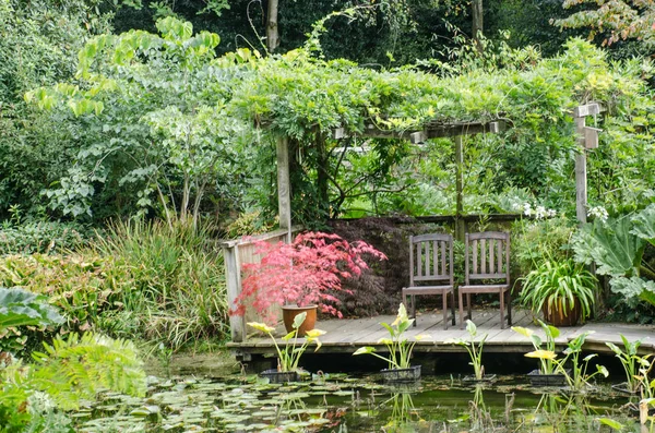 Acer rosso in giardino acquatico con sedie — Foto Stock