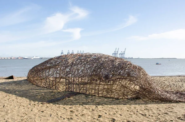 Willow balina heykel sahilde — Stok fotoğraf