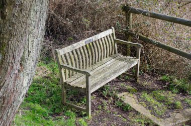 Park bankında sonbaharda kırsal ortamda