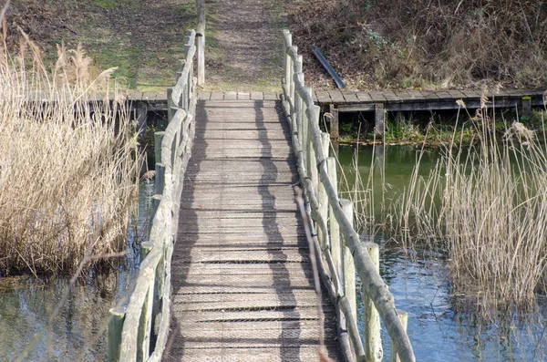 Puente Madera Sobre Pequeño Estanque Invierno — Foto de Stock