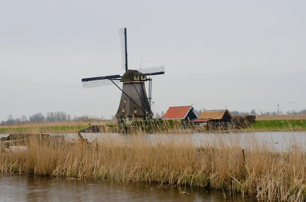 Moinho Vento Kinderdijk Holland — Fotografia de Stock