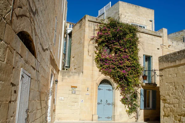 Bloemen Boven Deur Van Traditioneel Stenen Huis Mdina Malta — Stockfoto