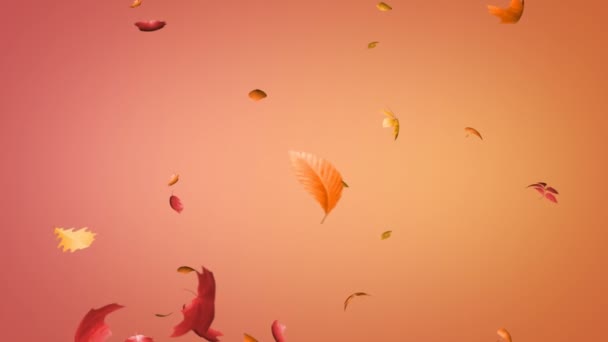 坠落的叶子无缝环 — 图库视频影像