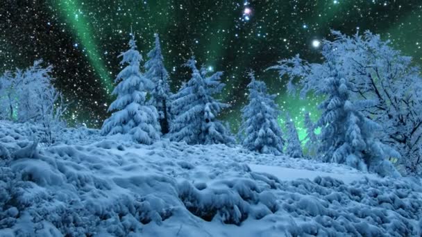 Cielo stellato e aurora boreale — Video Stock