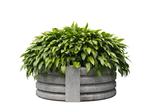 Isolated planter with clipping path — Stock Photo, Image