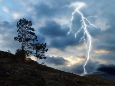 Fırtınalı gökyüzünü geçen büyük bir şimşeğin resmi.