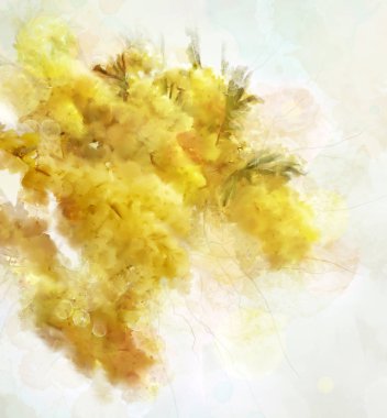 Bahar ve yaz çiçekleri koleksiyonu: Dijital suluboya mimoza dalı