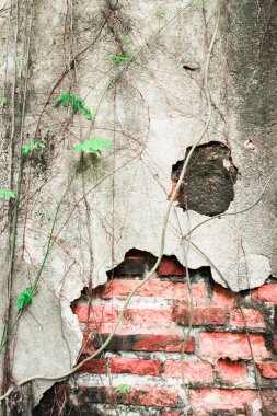 eski duvar arka plan.