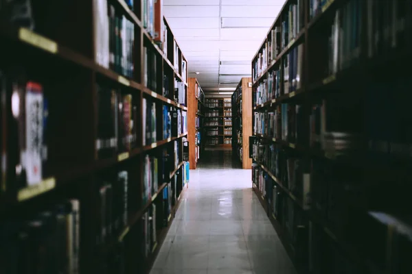 Bookshelfs Tarih kitaplarında genel libery, Bookshelfs backgroung.