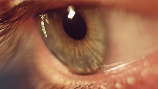 Woman's eye. Zwolnionym tempie — Wideo stockowe