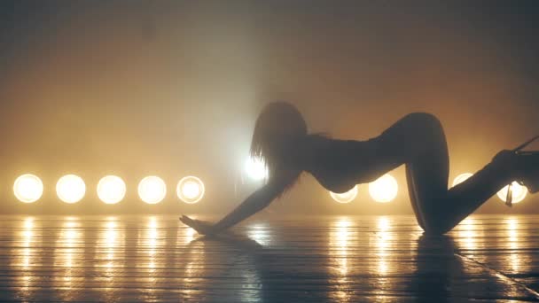 Sexy Noční Klub Tanečnice — Stock video